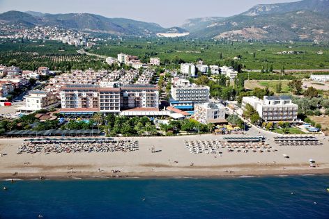 CLUB CACTUS PARADISE